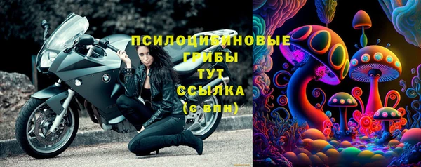 сатива Алзамай